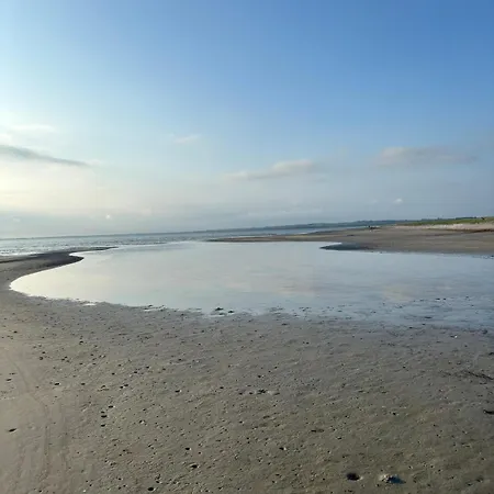 Nyaraló Near Forest - Beach