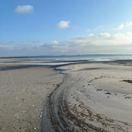 Near Forest - Beach *